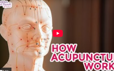 Episode 43: How Does Acupuncture Work?